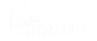 Team-Synergy-Logo
